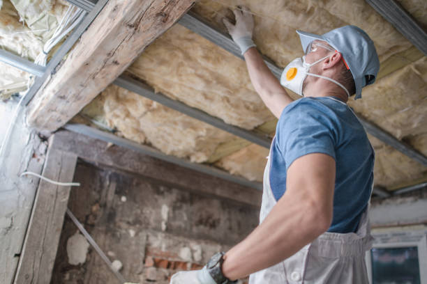 Best Types of Insulation in Latimer, MS
