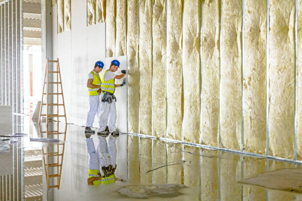 Best Residential Insulation in Latimer, MS
